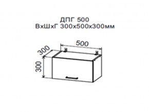 Шкаф верхний ДПГ500 горизонтальный в Новой Ляле - novaya-lyalya.магазин96.com | фото