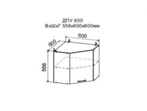 Шкаф верхний ДПУ600 угловой в Новой Ляле - novaya-lyalya.магазин96.com | фото