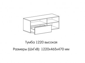 Тумба 1220 (высокая) в Новой Ляле - novaya-lyalya.магазин96.com | фото